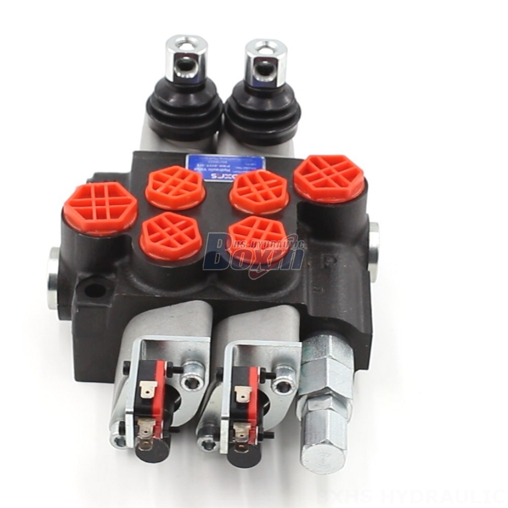 2 Spool Monoblock Directional Valve - P40: Factory Supply & Tailored Solutions cover photo